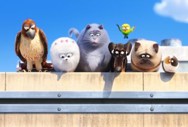 Seven pets, including two birds, dogs and cats, line up on a wall. Still from The Secret Life of Pets