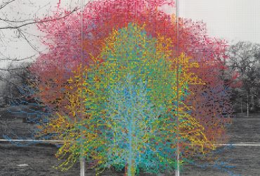 Charles Gaines, Numbers and Trees (detail), Central Park, Series I, Tree #9. 2016. © Charles Gaines. Courtesy Paula Cooper Gallery, New York
