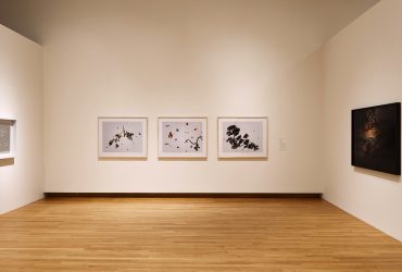 Installation view; All Matterings of Mind: Transcendent Imagery From the Contemporary Collection; March 2–August 27, 2017; Nasher Museum of Art at Duke University. Photo by Peter Paul Geoffrion.