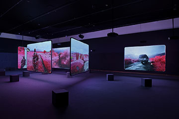 Installation view of Richard Mosse: The Enclave. Photo by Peter Paul Geoffrion.