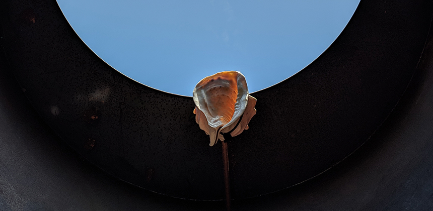 Radcliffe Bailey, Vessel (detail), 2017. Steel, conch shell and stereo. Collection of the Nasher Museum. Museum purchase with funds provided by the Nancy A. Nasher and David J. Haemisegger Family Fund for Acquisitions, 2018.9.1. © Radcliffe Bailey. Courtesy of the artist and Jack Shainman Gallery. Photo by Jess Wilcox.