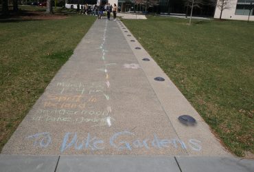Duke student volunteers used colored chalk to create a path between the Nasher Museum and the Sarah P. Duke Gardens. Photo by Gabriel Campos.