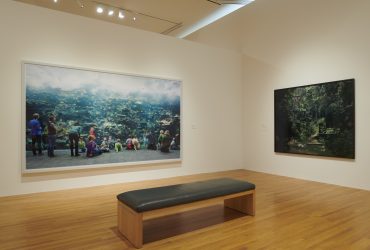 Installation view, Second Nature: Photography in the Age of the Anthropocene.