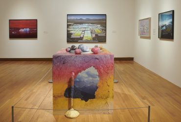 Installation view, Second Nature: Photography in the Age of the Anthropocene.