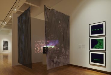 Installation view, Second Nature: Photography in the Age of the Anthropocene.