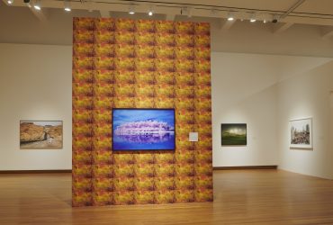 Installation view, Second Nature: Photography in the Age of the Anthropocene.