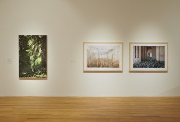 Installation view, Second Nature: Photography in the Age of the Anthropocene.